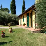 Rent 1 bedroom apartment of 30 m² in Brisighella