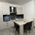 Rent 2 bedroom apartment of 50 m² in Nettuno