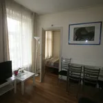 Rent 1 bedroom apartment of 30 m² in 's-Gravenhage