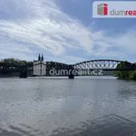 Rent 1 bedroom apartment of 42 m² in Prague