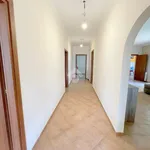 Rent 5 bedroom house of 180 m² in Velletri