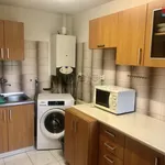 Rent 1 bedroom apartment of 36 m² in Litomyšl