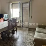 Rent 4 bedroom apartment of 120 m² in Rome