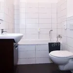 Rent 2 bedroom apartment of 45 m² in Brno