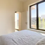 Rent 1 bedroom apartment in Antwerpen