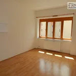 Rent 3 bedroom apartment of 90 m² in Brno