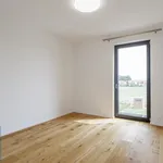 Pronájem domu 175m² s pozemkem 878m²