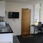 Rent 1 bedroom student apartment of 19 m² in Leicester