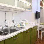 Rent 3 bedroom apartment of 75 m² in Pisa