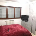 Rent 3 bedroom apartment of 75 m² in Roma