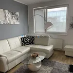 Rent 1 bedroom apartment in Ostrava