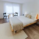 Miete 1 Schlafzimmer wohnung von 24 m² in Frankfurt am Main