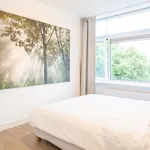 Rent 3 bedroom apartment of 80 m² in Hoog-Catharijne NS en Jaarbeurs