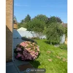 Rent 3 bedroom house in East Midlands