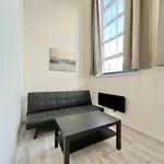 Rent 1 bedroom apartment in Brno