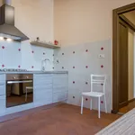 Rent 2 bedroom apartment of 67 m² in Florence