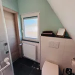 Rent 2 bedroom apartment of 60 m² in Nürnberg