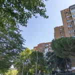 Rent 1 bedroom apartment of 45 m² in Madrid