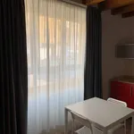 Rent 1 bedroom apartment of 32 m² in Bergamo