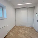 Rent 4 bedroom apartment in Plzeň