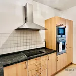 Rent 3 bedroom apartment of 95 m² in Capital City of Prague