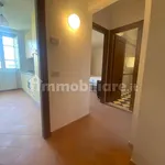 Rent 2 bedroom apartment of 44 m² in Lucca