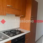 2-room flat via dei Cappuccini, Carraia - Torricelli, Empoli