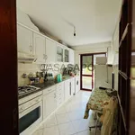 Rent 1 bedroom apartment in Figueira da Foz