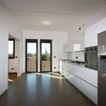 Rent 5 bedroom house of 253 m² in Turin