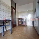 Rent 1 bedroom apartment of 150 m² in verona