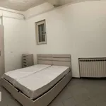 Rent 3 bedroom apartment of 80 m² in Bologna