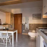 Rent 1 bedroom apartment of 45 m² in milan