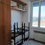 Rent 1 bedroom apartment in Rome