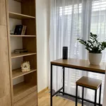 Studio of 32 m² in Prague