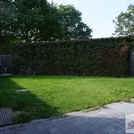 Rent 4 bedroom house in Morkhoven