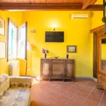 Rent 1 bedroom apartment in Florence