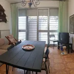 Rent 3 bedroom apartment of 100 m² in Pisa