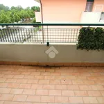 Rent 2 bedroom apartment of 50 m² in Caorle