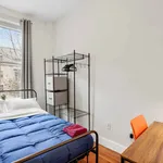 Rent 1 bedroom apartment in New York