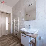 Pronajměte si 2 ložnic/e byt o rozloze 58 m² v Praha