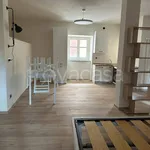 Rent 1 bedroom apartment of 50 m² in Villanova Mondovì