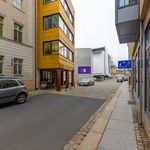 Rent 1 bedroom apartment of 38 m² in Dresden