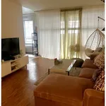 Rent 3 bedroom apartment in Geneva