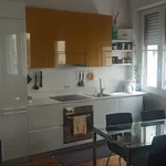 Rent 1 bedroom apartment of 55 m² in Firenze