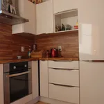 Rent 1 bedroom house of 120 m² in Prague