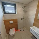 Rent 5 bedroom apartment of 1809 m² in Trhový Štěpánov