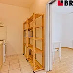 Rent 2 bedroom apartment of 45 m² in Brno