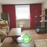 Rent 1 bedroom apartment in České Budějovice