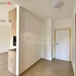 Rent 2 bedroom apartment of 53 m² in Plzeň