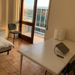 Rent 6 bedroom apartment in Coimbra